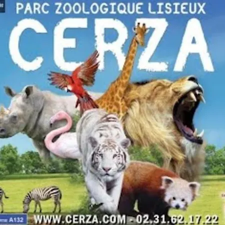 Particulier - Plein Centre - Idéal Groupes Lisieux