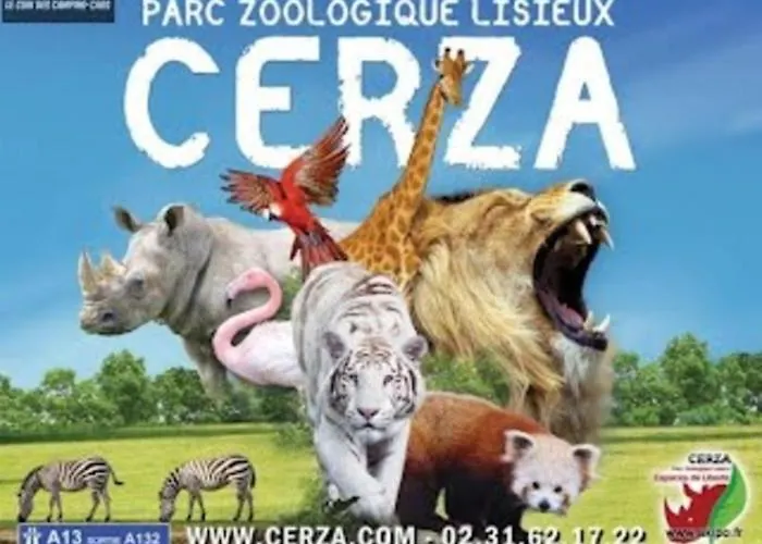 Particulier - Plein Centre - Ideal Groupes Lisieux